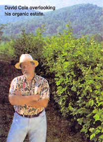 The Dawn of High Tech Organic Farming Practices Image
